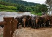 Srí Lanka - Srí Lanka - Cejlon - ráj bez andělů  