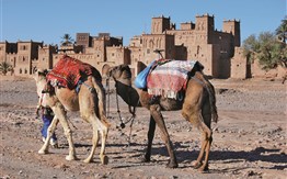 Okruh Marockým královstvím mezi Saharou, Atlasem a Atlantikem - 