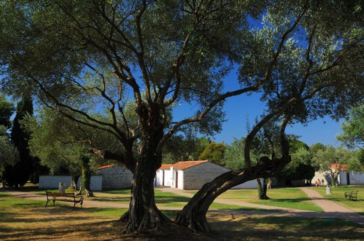 Apartmány Villas Rubin