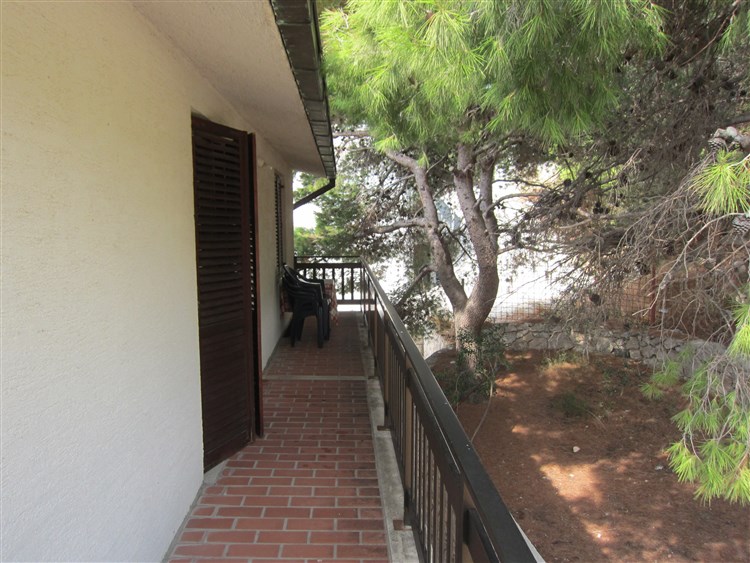 Vila Jacob / Nediljko