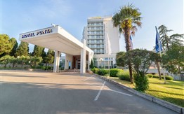 Hotel Punta - 