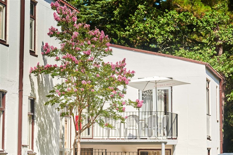 Apartmány Astra Plava Laguna