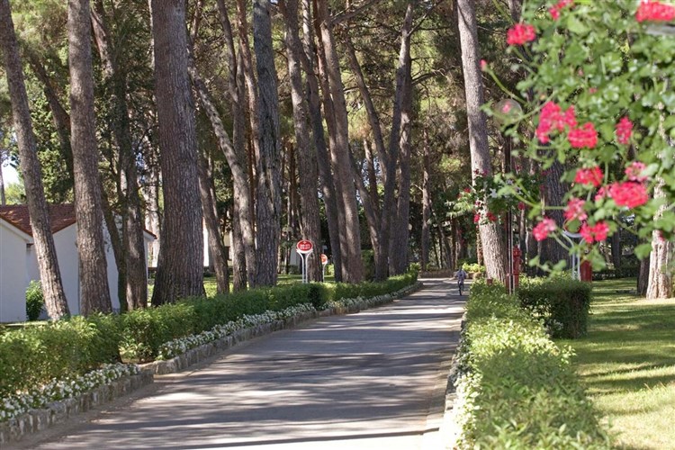 Villa Galijot Plava Laguna