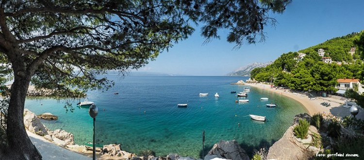 Apartmány Astra a Pinija