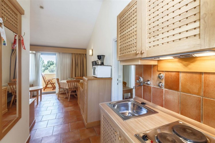 Studio apartments Bellevue Plava Laguna