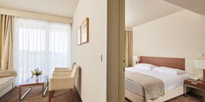 Hotel Albatros Plava Laguna