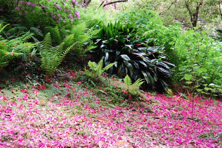 Itálie – kvetoucí zahrady italských alpských jezer