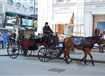 Maďarsko - PODUNAJSKÉ METROPOLE - Vídeň, Bratislava a Budapešť  