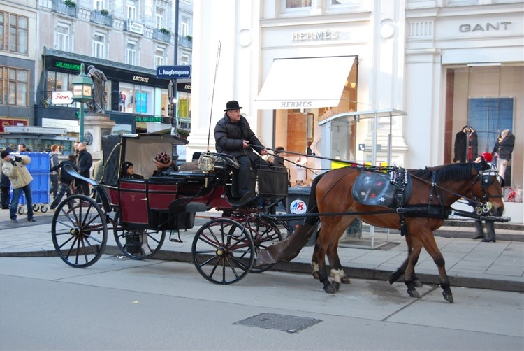 PODUNAJSKÉ METROPOLE - Vídeň, Bratislava a Budapešť