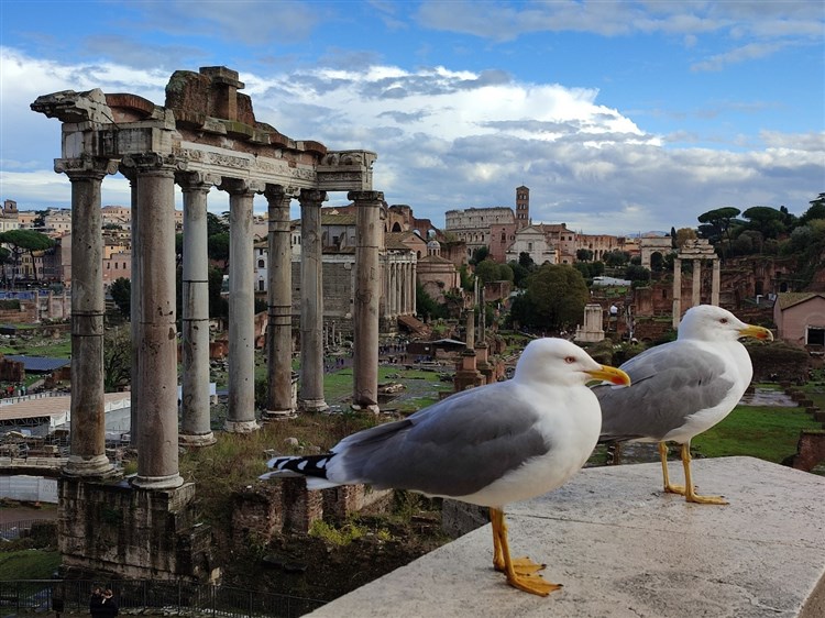 Řím a Neapolský záliv - To nejlepší z Itálie – Benátky, Řím, Vatikán, Pompeje, Vesuv a Dolomity