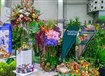 Rakousko - Tulln – mezinárodní zahradnický veletrh s největší evropskou výstavou květin  