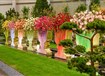 Rakousko - Tulln – mezinárodní zahradnický veletrh s největší evropskou výstavou květin  