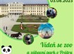 Rakousko - Vídeň se ZOO a zábavní park v Prátru  