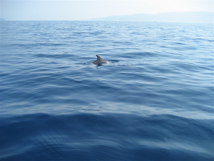 Odpočinková plavba severním Jadranem