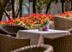 Chorvatsko - Labranda Senses Resort  