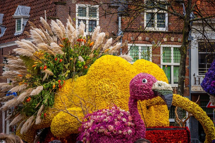 Holandsko - s květinovým korzem