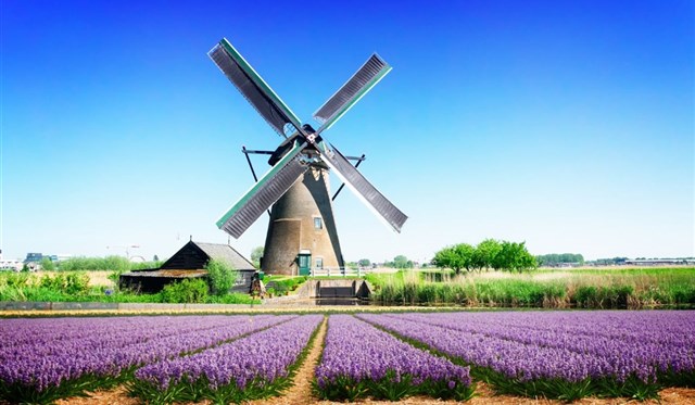Holandsko - Holandsko - s květinovým korzem  