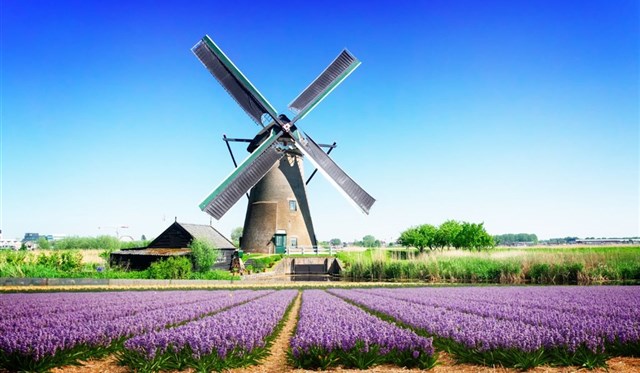 Holandsko - Holandsko - s květinovým korzem a ubytováním v Rotterdamu  