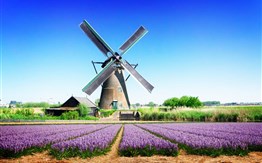 Holandsko - s květinovým korzem - 