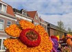 Holandsko - Holandsko - s květinovým korzem a ubytováním v Rotterdamu  