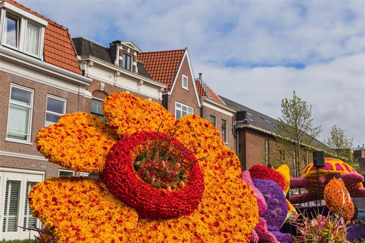 Holandsko - s květinovým korzem