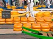 Holandsko - Holandsko - s květinovým korzem a ubytováním v Rotterdamu  