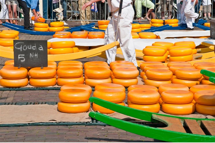 Holandsko - s květinovým korzem