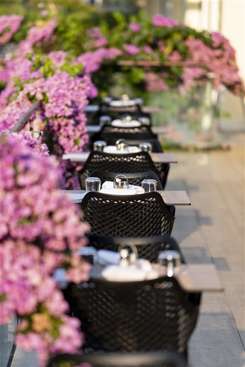 Aminess Vival Velaris Resort