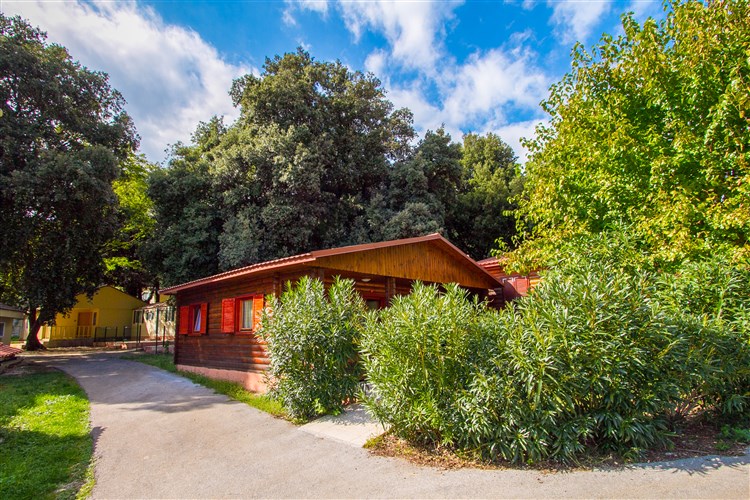 Mobilní domky Oliva