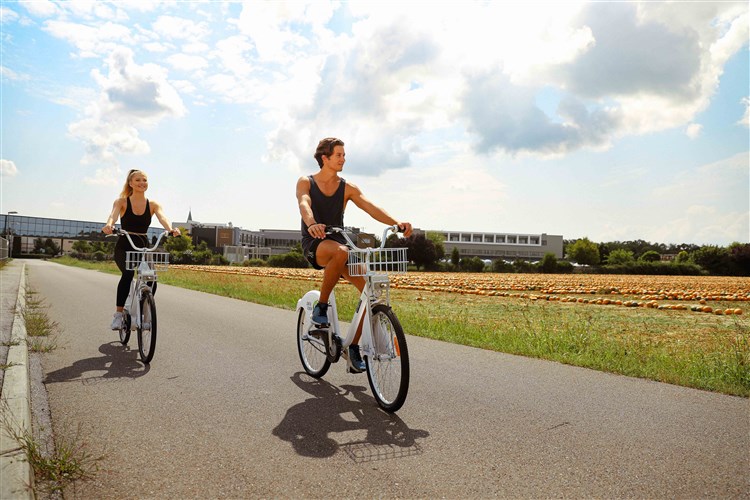Slovinské termální lázně Terme Vivat Moravske Toplice autobusem