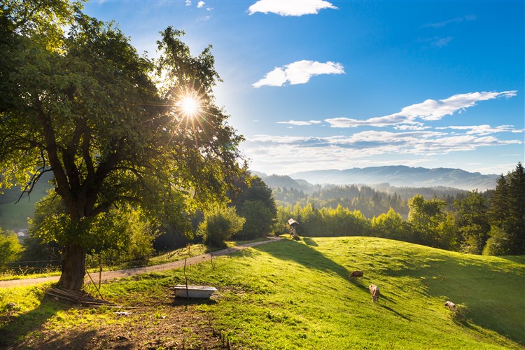 Lázně Terme Snovik -  Apartmánový komplex Eko Terme Snovik
