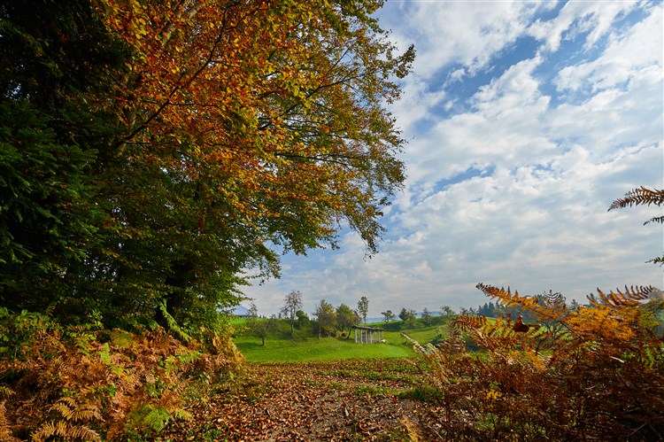 Lázně Terme Snovik -  Apartmánový komplex Eko Terme Snovik
