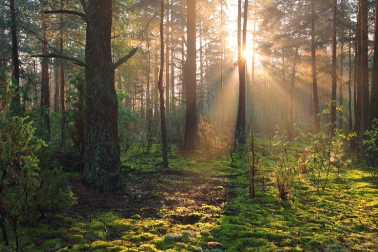 VELKÝ OKRUH POLSKEM - Baltské moře, Mazurská jezera a Varšava