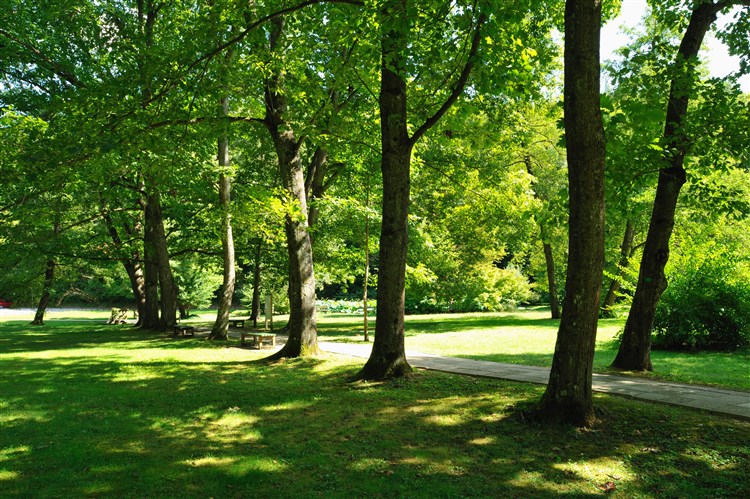 Smarjeske Toplice Terme - Hotel Smarjeta