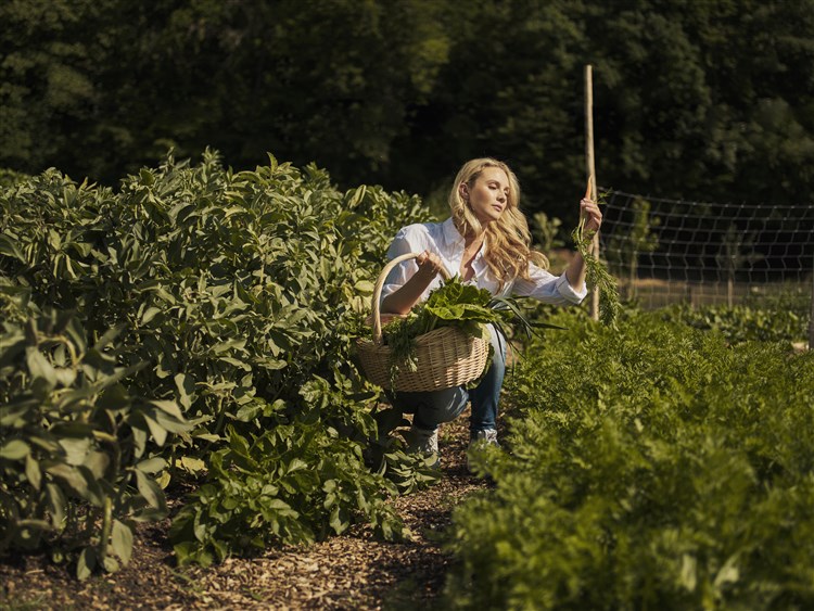 Smarjeske Toplice Terme - Hotel Smarjeta