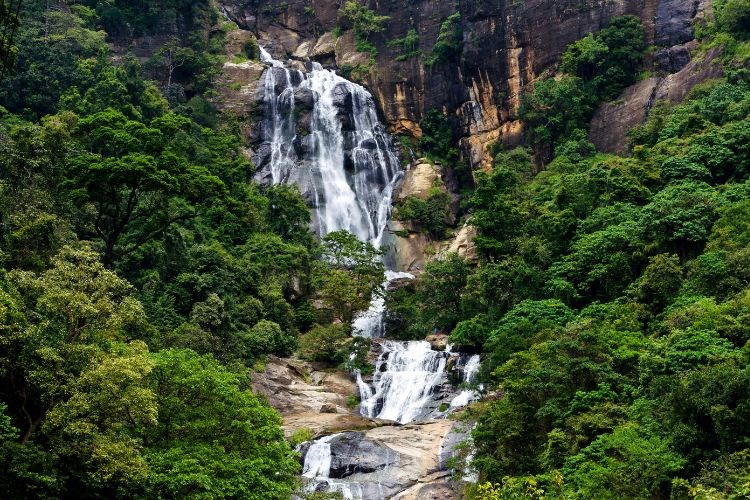 Srí Lanka - Cejlon - ráj bez andělů
