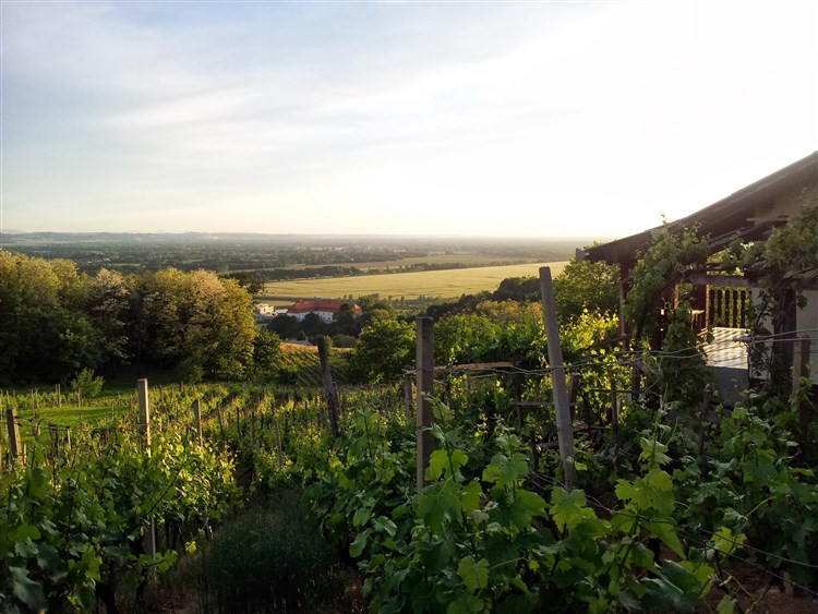 Slovinsko na kole - Lendava