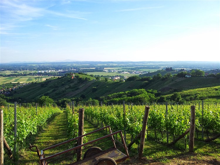 Slovinsko na kole - Lendava
