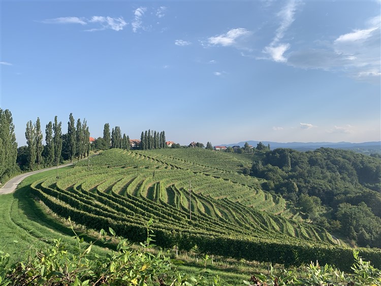 Slovinsko na kole - Lendava