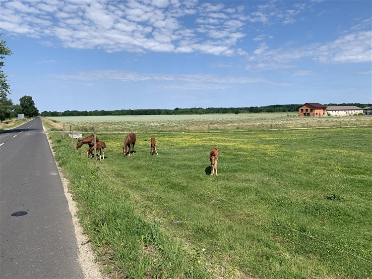 Slovinsko na kole - Lendava