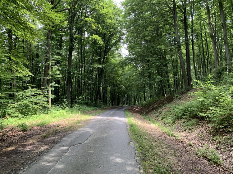Slovinsko na kole - Lendava