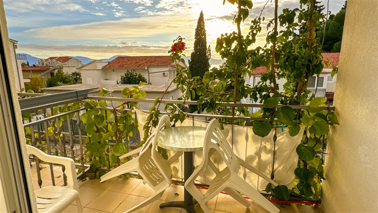Vila Mirko