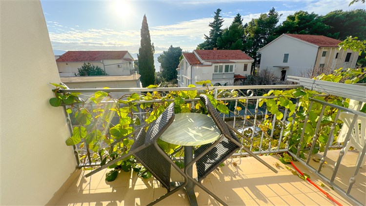 Vila Mirko
