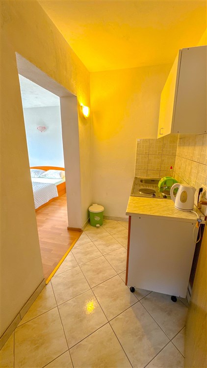 Vila Mirko