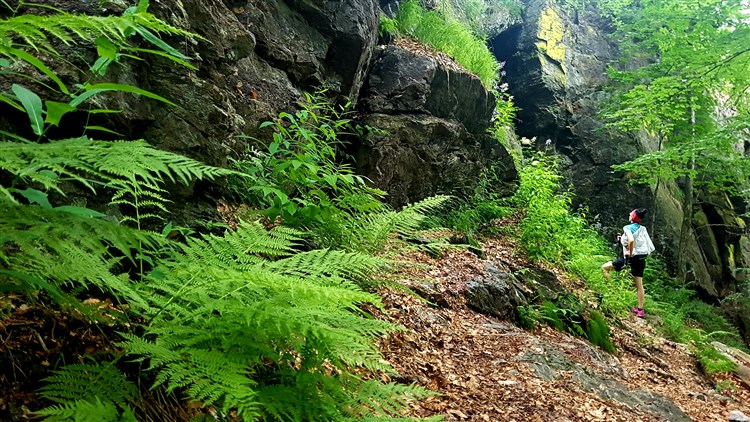 Šumava a Bavorský les: přírodní království Čech a Německa