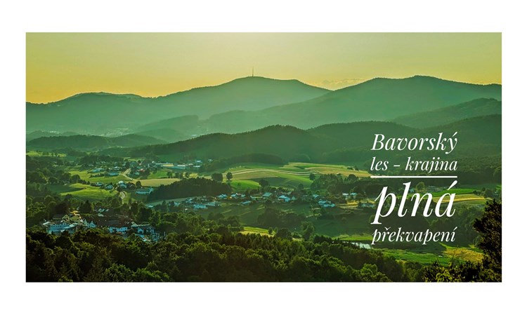 Šumava a Bavorský les: přírodní království Čech a Německa