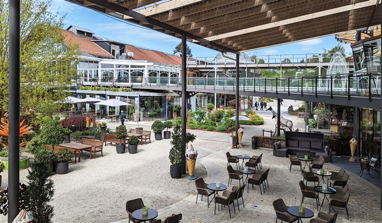 Šumava a Bavorský les: přírodní království Čech a Německa