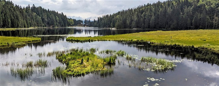 Šumava a Bavorský les: přírodní království Čech a Německa