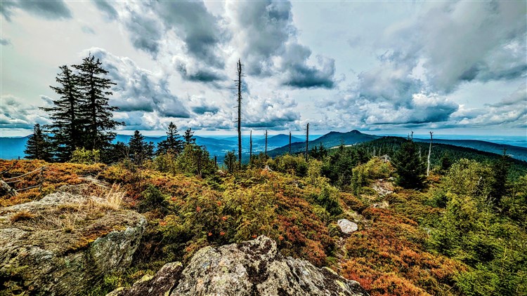 Šumava a Bavorský les: přírodní království Čech a Německa