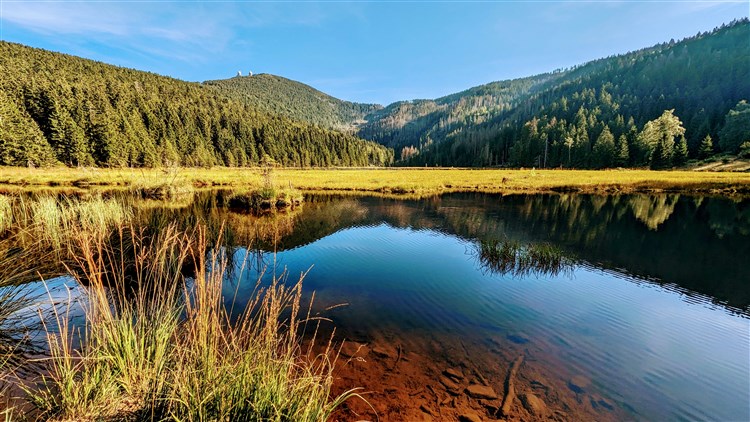 Šumava a Bavorský les: přírodní království Čech a Německa